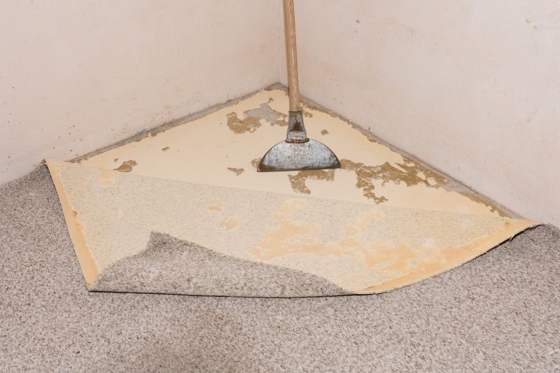 Carpet Removal Service in Madison, WI