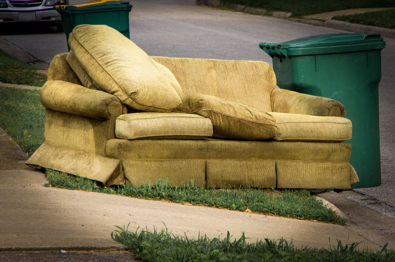 Sofa Removal Service in Roseville, CA